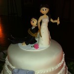 My First Wedding Video Shot With My iPhone4