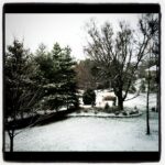My White Tennessee Christmas