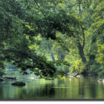 My Prayer to Become a River