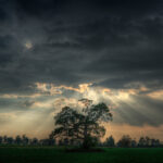 Getting a Handle on Life Storms