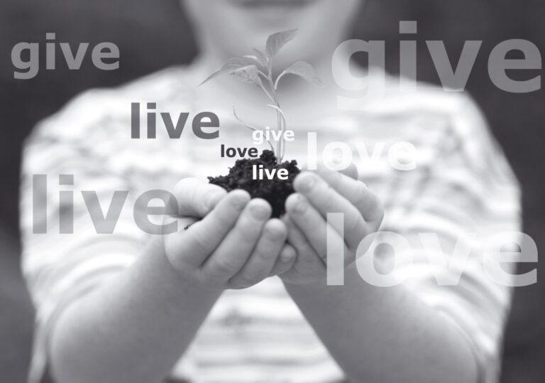 A Giving Perspective